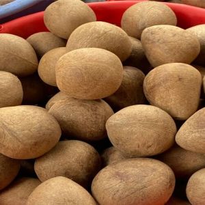 Dried Whole Coconut