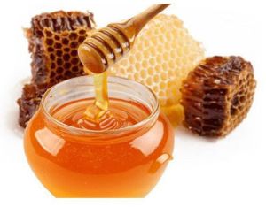 Forest Wild Honey