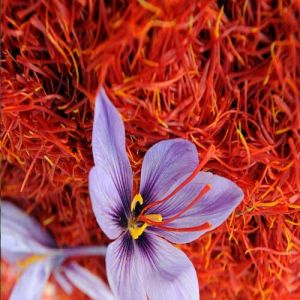 Kashmiri Saffron