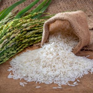 sona masoori rice