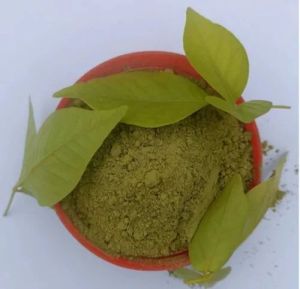 Bilva Leaf Powder