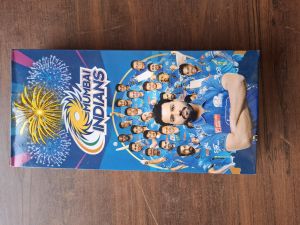 Crackling Multi Sky Shot Crackers