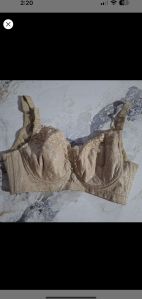 Ladies Bra