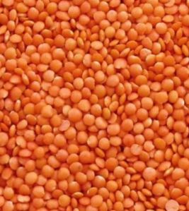 Red Lentils