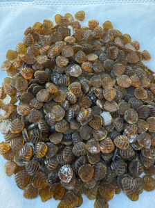 Moasic Glass Beads