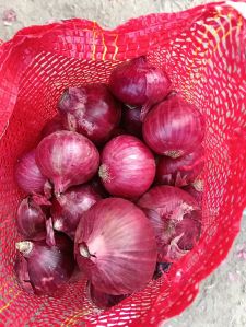 Fresh Nasik Red Onion
