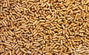 Biomass Pellet