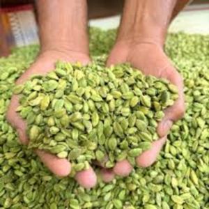 Green Cardamom