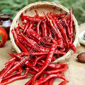 Dry Red Chilli