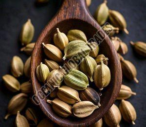 Green Cardamom