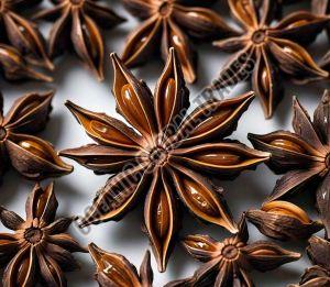 Star Anise