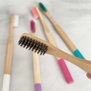 Phoenix Bamboo Toothbrush