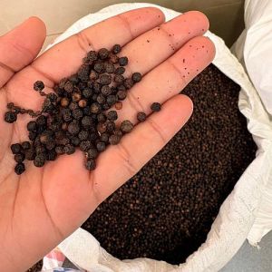 Black Pepper Seeds