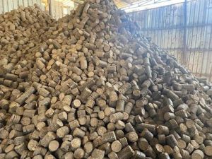 High Grade Bio Coal