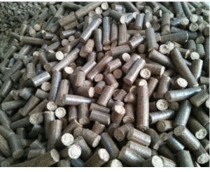 Bio Coal Briquettes