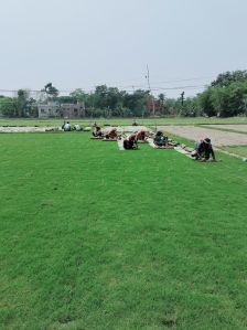 Natural Selection Number 1 Grass