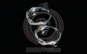 DG 0032 Ladies Silver Earring