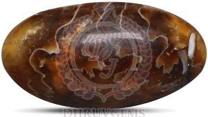 TGM 0712 Brown Ammonite Oval Gemstone