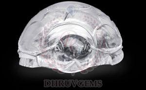 TGM 0870 Transparent Tortoise Gemstones