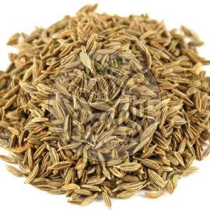 Singapore 99 Cumin Seed