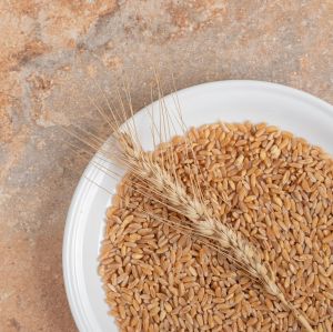 Wheat Grain
