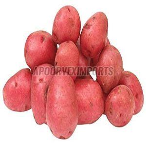 Fresh Red Potato