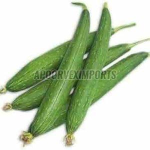 Fresh Ridge Gourd