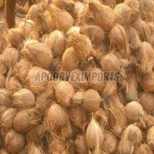 Fresh Semi Husked Coconut