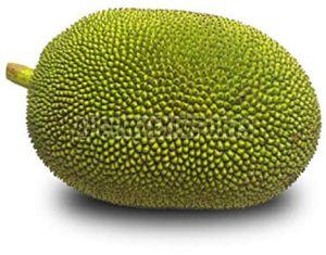 Fresh Tender Jackfruit