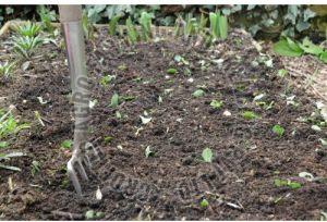 Green Organic Manure