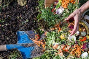 Organic Waste Compost