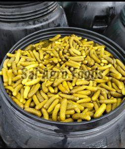 High Quality Pickled Gherkins