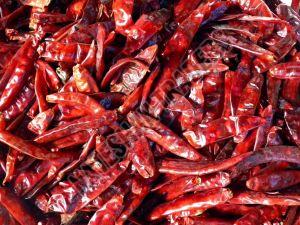 Dry Red Chilli