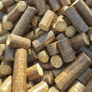 Agro Waste Biomass Briquette