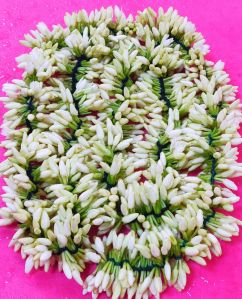 Fresh Mullai Flower