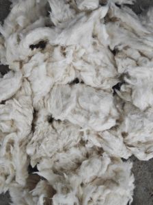 Cotton Waste