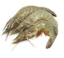 Frozen Headless Prawns Shrimp