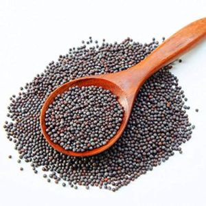 Black Mustard Seeds