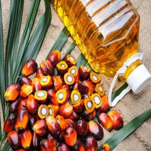Palm Oil