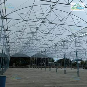 Naturally Ventilated Poly Greenhouse