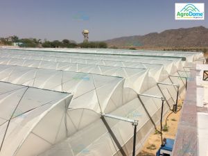 Naturally Ventilated Poly Greenhouse