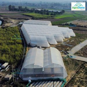 Naturally Ventilated Poly Greenhouse