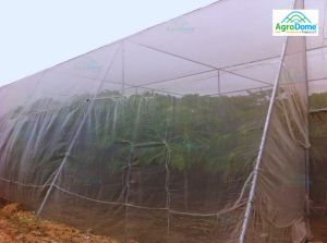 Shade Net House for Papaya Orchard Structure