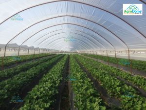 Shade Net House for Strawberry Orchard Structure