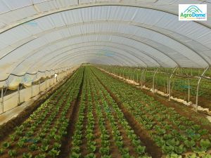 Shade Net House for Strawberry Orchard Structure