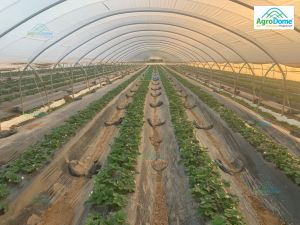 Shade Net House for Strawberry Orchard Structure