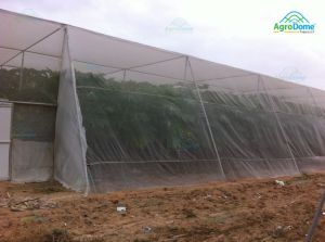 Shade Net House for Papaya Orchard Structure
