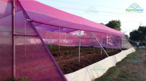 Single Layer Flat Roof Net House