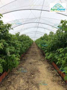 Single Span Poly Tunnel Structure
