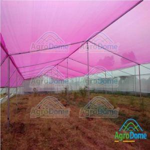Dome Shaped Poly Tunnel Hoop Greenhouse